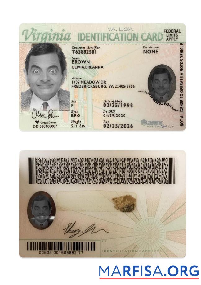 Printable USA Virginia ID Card download for verification